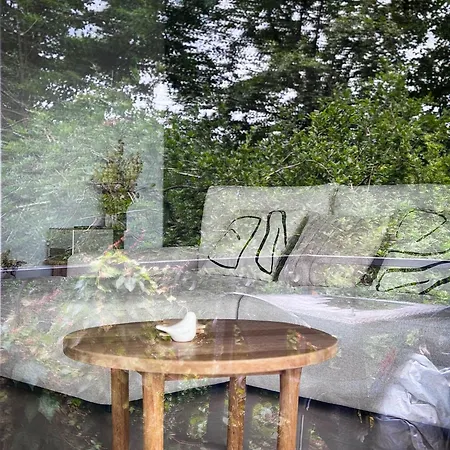The View - Wellness Forest Stoumont