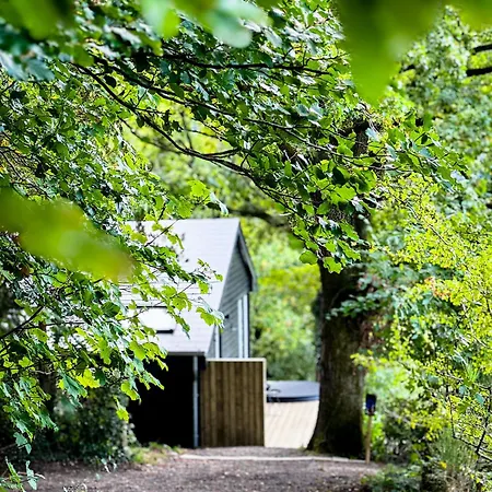 The View - Wellness Forest 롯지 스타우몬트