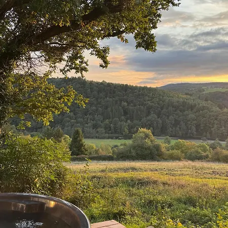 The View - Wellness Forest *