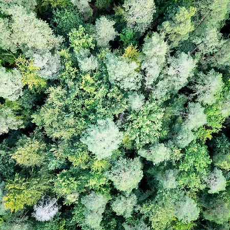 The View - Wellness Forest *